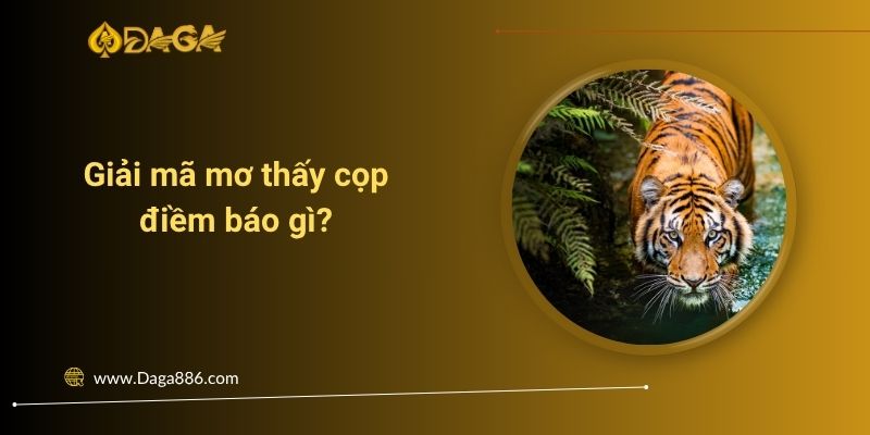 Giải mã mơ thấy cọp điềm báo gì? Chơi số nào trúng lớn?